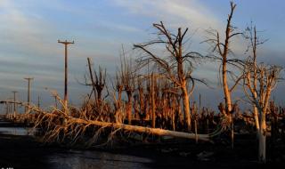 阿根廷十大城市排名 阿根廷十大城市排名